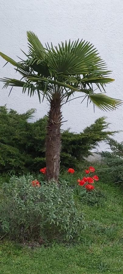 Bourriot-BergonceLes Eygletieres住宿加早餐旅馆 外观 照片